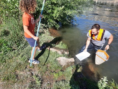 Les Ecoactivitats mostren els insectes aquàtics que habiten el riu Segre