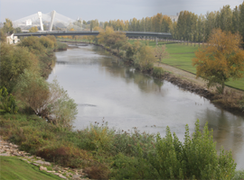 Lleida commemora el Dia Mundial de l’Aigua amb millores en el seu espai fluvial 