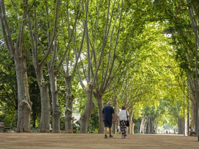 Lleida, entre les ciutats europees amb menys mortalitat atribuïble a la manca d’espais verds 