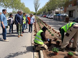 Lleida potencia l'enjardinament dels espais urbans amb la plantació de flors i arbustos en mitjanes de carrers 