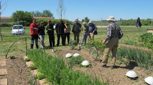 Imatge de la notícia Mostra de llavors i de planter de productes locals als horts de Rufea