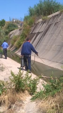 Imatge de la notícia La regidora de Medi Ambient realitza un tractament contra mosquits a la zona de Pardinyes i la Mitjana 