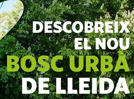 Plantada d’arbres al nou bosc urbà de Lleida, a Balàfia 