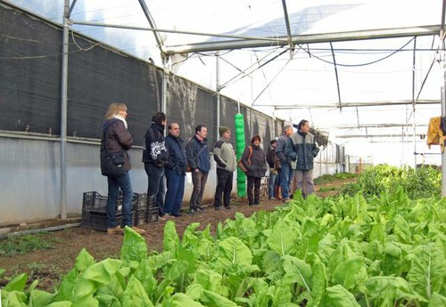 Imatge de la notícia Un grup de professionals agrícoles visiten l'Horta de Lleida