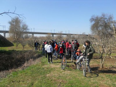Cinquanta persones participen a l'Ecodescoberta per descobrir l'Horta en bicicleta