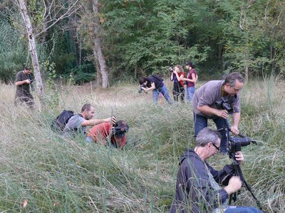 Una vintena de persones al Curs de Fotografia de Natura a la Mitjana