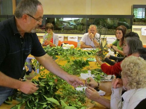 Imatge de la notícia Una vintena de persones aprenen a reproduir plantes a casa en un taller especial